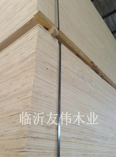 異形托盤(pán)板不可貌相，發(fā)展前景不可限量